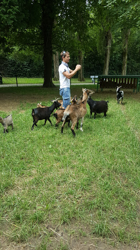 Bal Parc