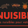 KO NUISIBLES