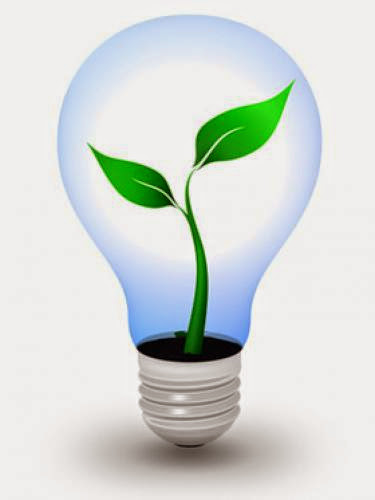 Energy Conservation Helping To Reduce Your Energy Bill