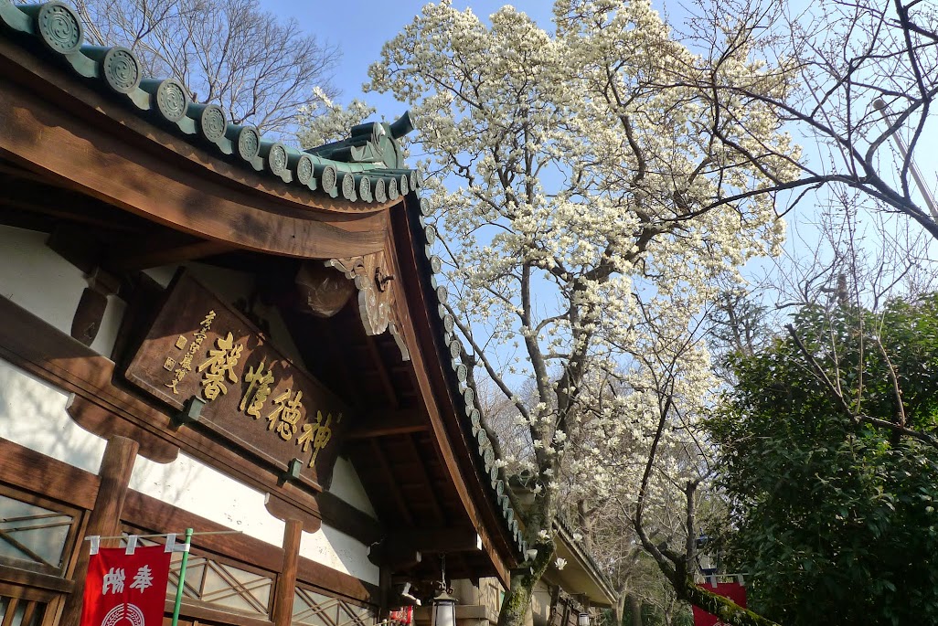 tokyo ueno sanctuaire inari