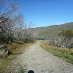 Management trail leading to Guthega Dam (262340)