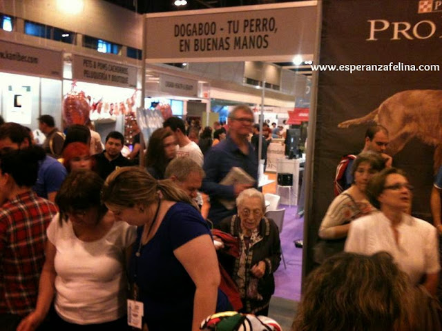 Esperanza Felina en la Feria 100x100 Mascota. Sábado 25 de Mayo 2013. Madrid - Página 4 IMG_0439
