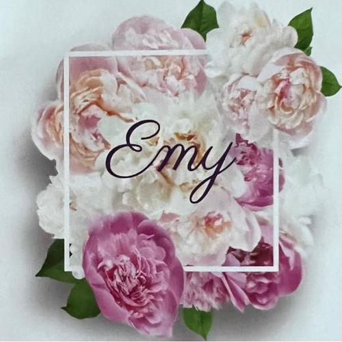 Le salon d'Emy logo