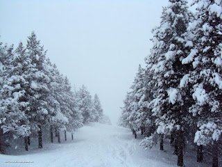 DSC01430 - Nevando el sábado, paraiso el domingo.