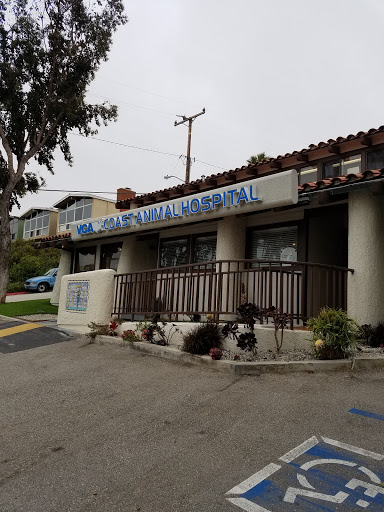 Animal Hospital «VCA Coast Animal Hospital», reviews and photos