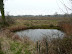 Just one of the numerous ponds that can be seen along the route