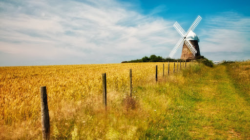 Halnaker Windmill, South Downs National Park, Sussex, England.jpg