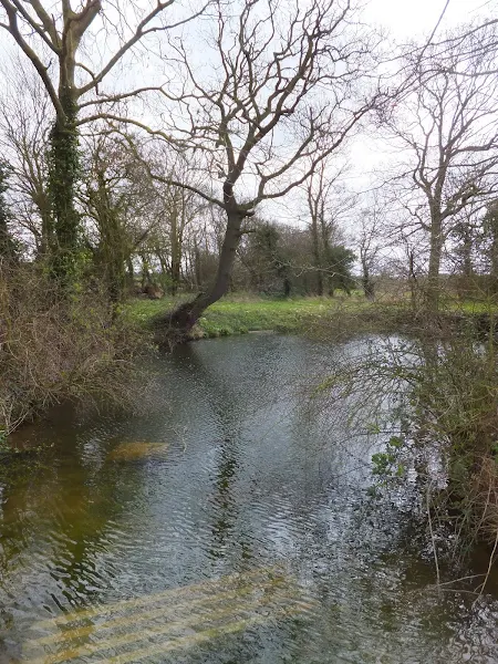Pond at Harris's Belt
