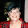 Patsy Snyder Patsy Snyder's profile photo