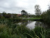 East Runton duck pond