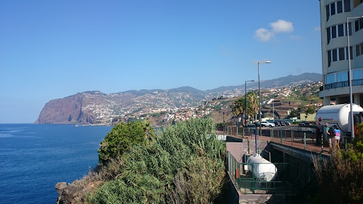 Мадейра февраль фото