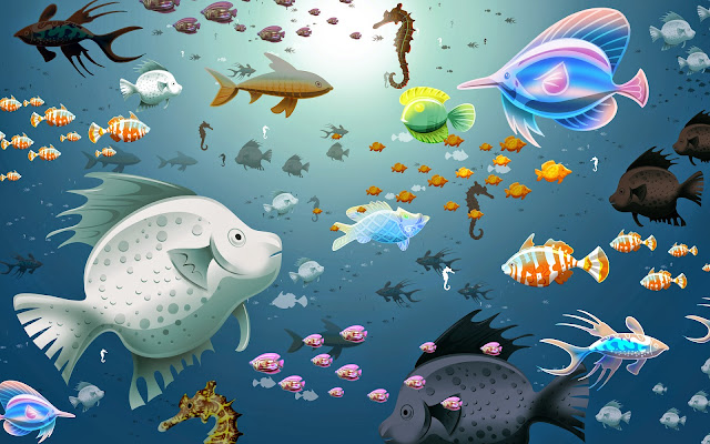 Fish Wallpapers Fish Wallpapers