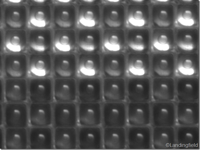 optical black (OB) region