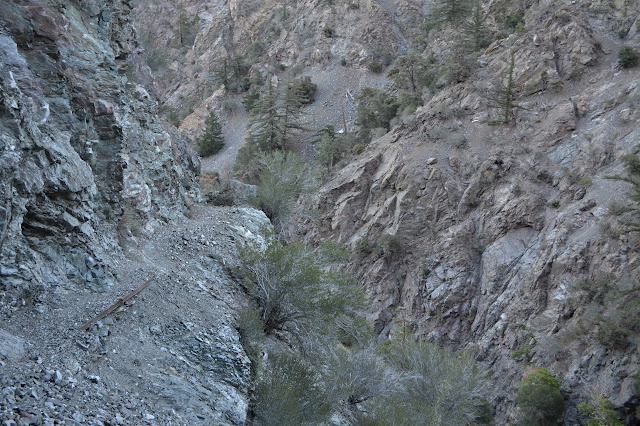 trail cut into the rock