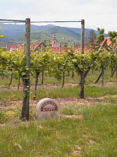 Domaine DOPFF AU MOULIN