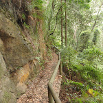 Track at base of cliff (227590)