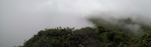 Montagne Pelée