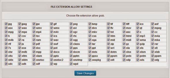 wordpress external media grabber file extension support