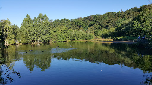 Parc de l'Aurence