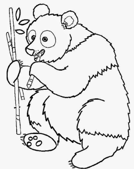free wild animal coloring pages - Wild animals coloring pages 9 Wild animals Kids 