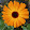 Nina Marika Finne Nina Marika Finne's profile photo