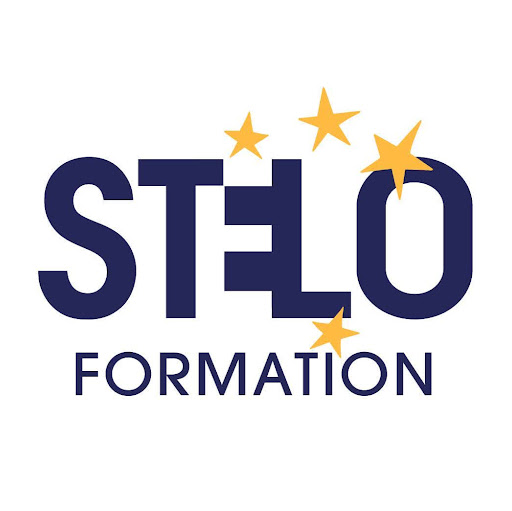 Stelo formation logo