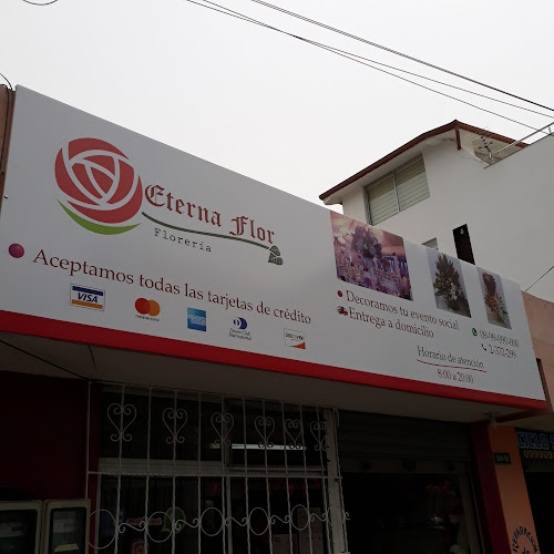 Floreria Eterna flor