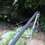 Track beside Lodore Falls (182349)