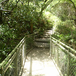 The bridge across the creek (9653)