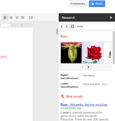 Google Docs Research