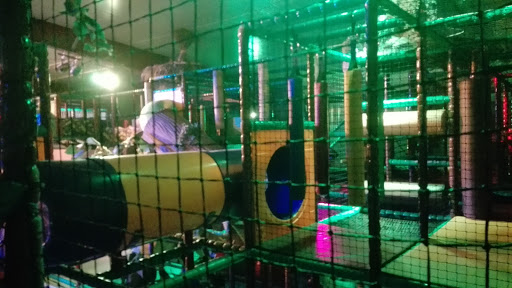 Yoyo