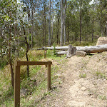 GNW track meets Watagan Creek Road (363548)