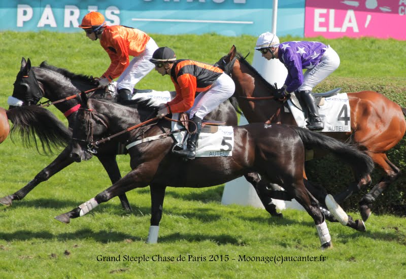 Photos Auteuil 17-05-2015 Journée du Grand Steeple IMG_0198