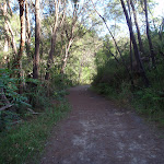 The Two Creeks Track (130108)