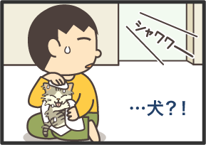cat12-10