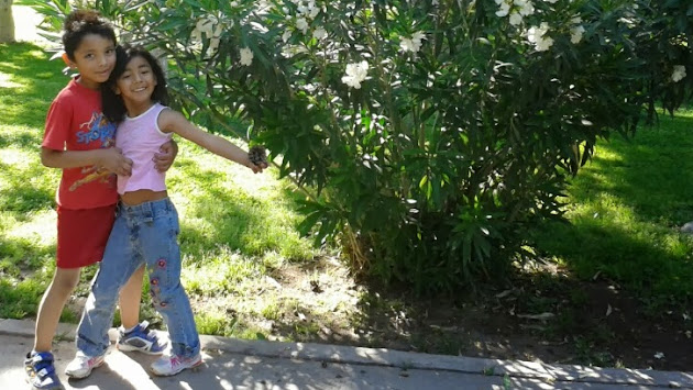 Cover photo