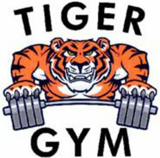 Tiger Gym, Abu Dhabi - United Arab Emirates, Gym, state Abu Dhabi