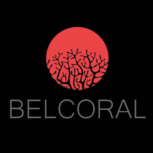 Studio Belcoral | Laminazione ed Extension Ciglia | PMU | Microblading | Massaggi | Massoterapia logo