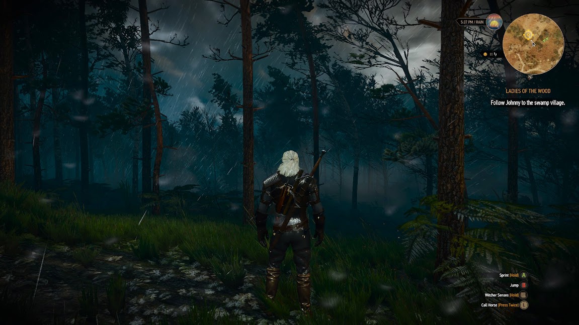 Storms in forests are glorious...