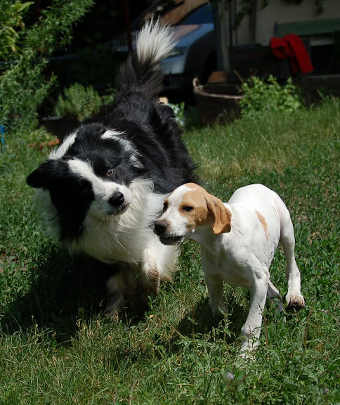 DSC_6597.JPG