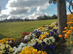 IMG_20130512_171818.jpg