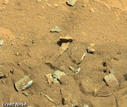 Nasa Debunks Mars Alien Bone Claims