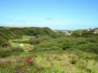 Trellyn Woodland Camping