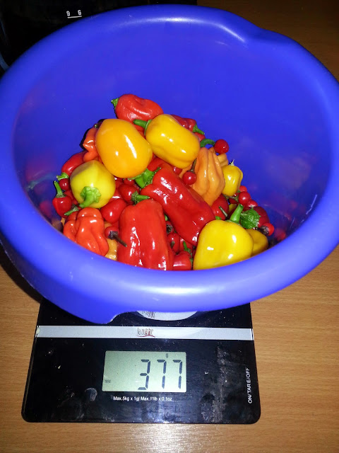 20140818_180739.jpg