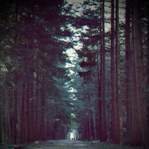 Дмитрий Василюк