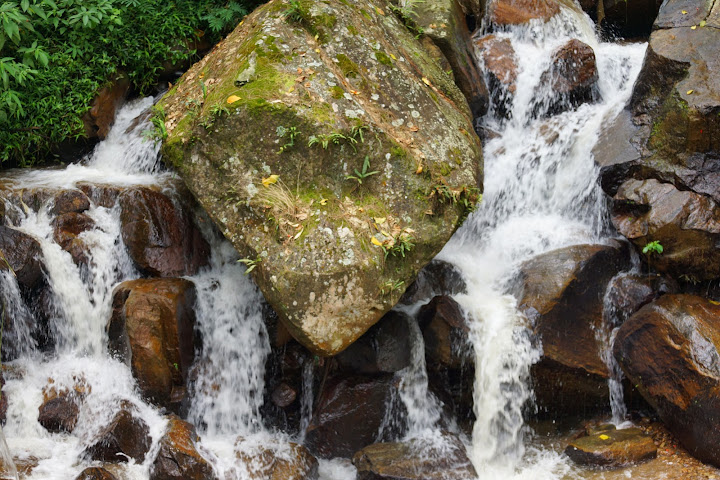 Шри-Ланка: на машине 1 100 км,  фото без комментариев, март-апрель 2013г.