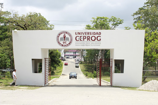 Universidad CEPROG, Carretera Palenque - Catazajá Km 26+500, La Primavera, 29960 Palenque, Chis., México, Universidad pública | CHIS