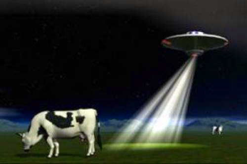 Are Aliens Responsible For Cattle Mutilation In Colorado