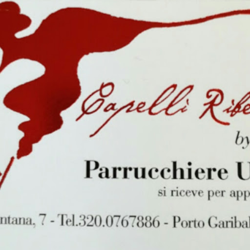 Capelli Ribelli By Silvia logo
