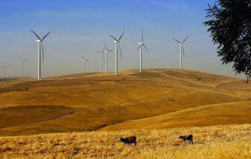 U S Wind Energy Developers Rush To Get Federal Tax Credits